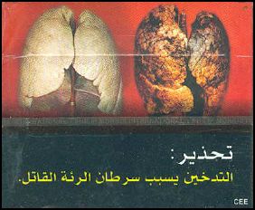 Djibouti 2009 Health Effects lung - diseased organ, lung cancer, gross - Arabic
